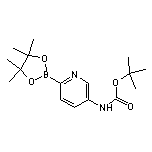 5-(Boc-氨基)吡啶-2-硼酸频哪醇酯