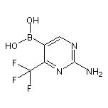 2-氨基-4-三氟甲基-5-嘧啶硼酸