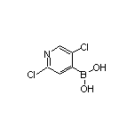 2,5-二氯-4-吡啶硼酸