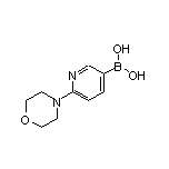 6-(4-吗啉基)-3-吡啶硼酸