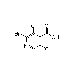 2-溴-3,5-二氯异烟酸