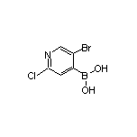 2-氯-5-溴吡啶-4-硼酸