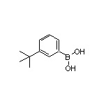3-叔丁基苯硼酸
