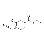 1-(氰基甲基)-2-氧代哌啶-4-甲酸乙酯