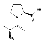 L-丙氨酰基-L-脯氨酸