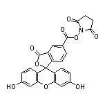 5-羧基荧光素 N-琥珀酰亚胺酯