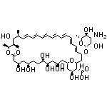 两性霉素B