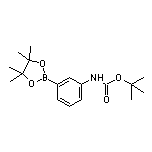 3-(Boc-氨基)苯硼酸频哪醇酯