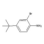 2-溴-4-叔丁基苯胺