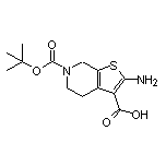 6-Boc-2-氨基-4,5,6,7-四氢噻吩并[2,3-c]吡啶-3-甲酸