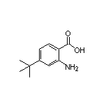 2-氨基-4-(叔丁基)苯甲酸