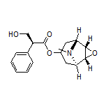 东莨菪碱, 来源于颠茄