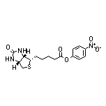 (+)-生物素-4-硝基苯酯