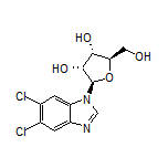 (2R,3R,4S,5R)-2-(5,6-二氯-1H-苯并[d]咪唑-1-基)-5-(羟甲基)四氢呋喃-3,4-二醇