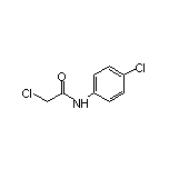 2-氯-N-(4-氯苯基)乙酰胺