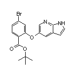 2-[(1H-吡咯并[2,3-b]吡啶-5-基)氧基]-4-溴苯甲酸叔丁酯