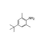 4-(叔丁基)-2,6-二甲基苯胺