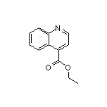 喹啉-4-甲酸乙酯