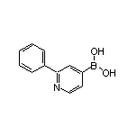 2-苯基吡啶-4-硼酸