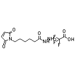 6-(2,5-二氧代-2,5-二氢-1H-吡咯-1-基)己酰肼三氟乙酸盐