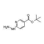 6-肼基烟酸叔丁酯