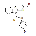 2-(2-氯乙酰氨基)-N-(4-氯苯基)-4,5,6,7-四氢苯并噻吩-3-甲酰胺