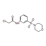 2-氯-N-[3-[(4-吗啉基)磺酰基]苯基]乙酰胺