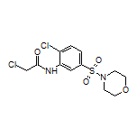 2-氯-N-[2-氯-5-[(4-吗啉基)磺酰基]苯基]乙酰胺
