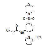 2-氯-N-[5-[(4-吗啉基)磺酰基]-2-(1-吡咯烷基)苯基]乙酰胺盐酸盐