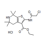 2-(2-氯乙酰氨基)-5,5,7,7-四甲基-4,5,6,7-四氢噻吩并[2,3-c]吡啶-3-甲酸乙酯盐酸盐