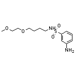 3-amino-N-[4-(2-methoxyethoxy)butyl]benzene-1-sulfonamide