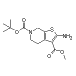 2-氨基-6-Boc-4,5,6,7-四氢噻吩并[2,3-c]吡啶-3-甲酸甲酯