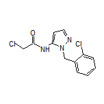 2-氯-N-[1-(2-氯苄基)-5-吡唑基]乙酰胺