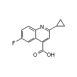 2-环丙基-6-氟喹啉-4-甲酸