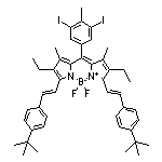 3,7-二[4-(叔丁基)苯乙烯基]-10-(3,5-二碘-4-甲基苯基)-2,8-二乙基-5,5-二氟-1,9-二甲基-5H-二吡咯并[1,2-c:2’,1’-f][1,3,2]二氮杂环己硼烷-4-鎓-5-盐