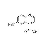 6-氨基喹啉-4-甲酸