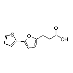 3-[5-(2-噻吩基)-2-呋喃基]丙酸
