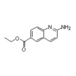2-氨基喹啉-6-甲酸乙酯