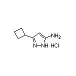 3-环丁基-5-氨基吡唑盐酸盐
