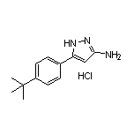 3-氨基-5-[4-(叔丁基)苯基]吡唑盐酸盐