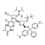 3’-O-叔丁基二甲基甲硅烷基-5’-O-DMT-N2-异丁酰鸟苷2’-CE亚磷酰胺