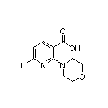 6-氟-2-(4-吗啉基)烟酸
