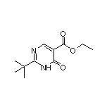 2-(叔丁基)-6-氧代-1,6-二氢嘧啶-5-甲酸乙酯