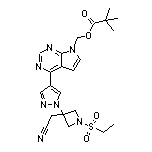 [4-[1-[3-(氰基甲基)-1-(乙砜基)-3-氮杂环丁基]-4-吡唑基]-7H-吡咯并[2,3-d]嘧啶-7-基]甲基新戊酸酯