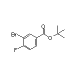 3-溴-4-氟苯甲酸叔丁酯
