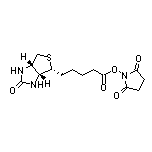 5-[(3aR,4R,6aS)-2-氧代六氢-1H-噻吩并[3,4-d]咪唑-4-基]戊酸(2,5-二氧代-1-吡咯烷基)酯