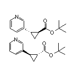反式-2-(吡啶-3-基)环丙烷甲酸叔丁酯