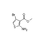 2-氨基-4-溴噻吩-3-甲酸甲酯