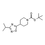 1-Boc-4-(3-异丙基-1,2,4-噁二唑-5-基)哌啶