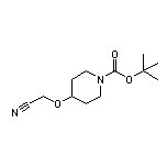 2-[(1-Boc-4-哌啶基)氧基]乙腈
